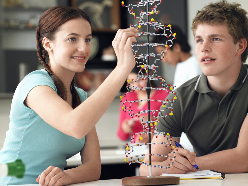 Due ragazzi osservano e studiano un modello tridimensionale di doppia elica del DNA in un’aula di scienze. La ragazza sorride e tocca il modello, mentre il ragazzo prende appunti. Sullo sfondo si vedono altri studenti.