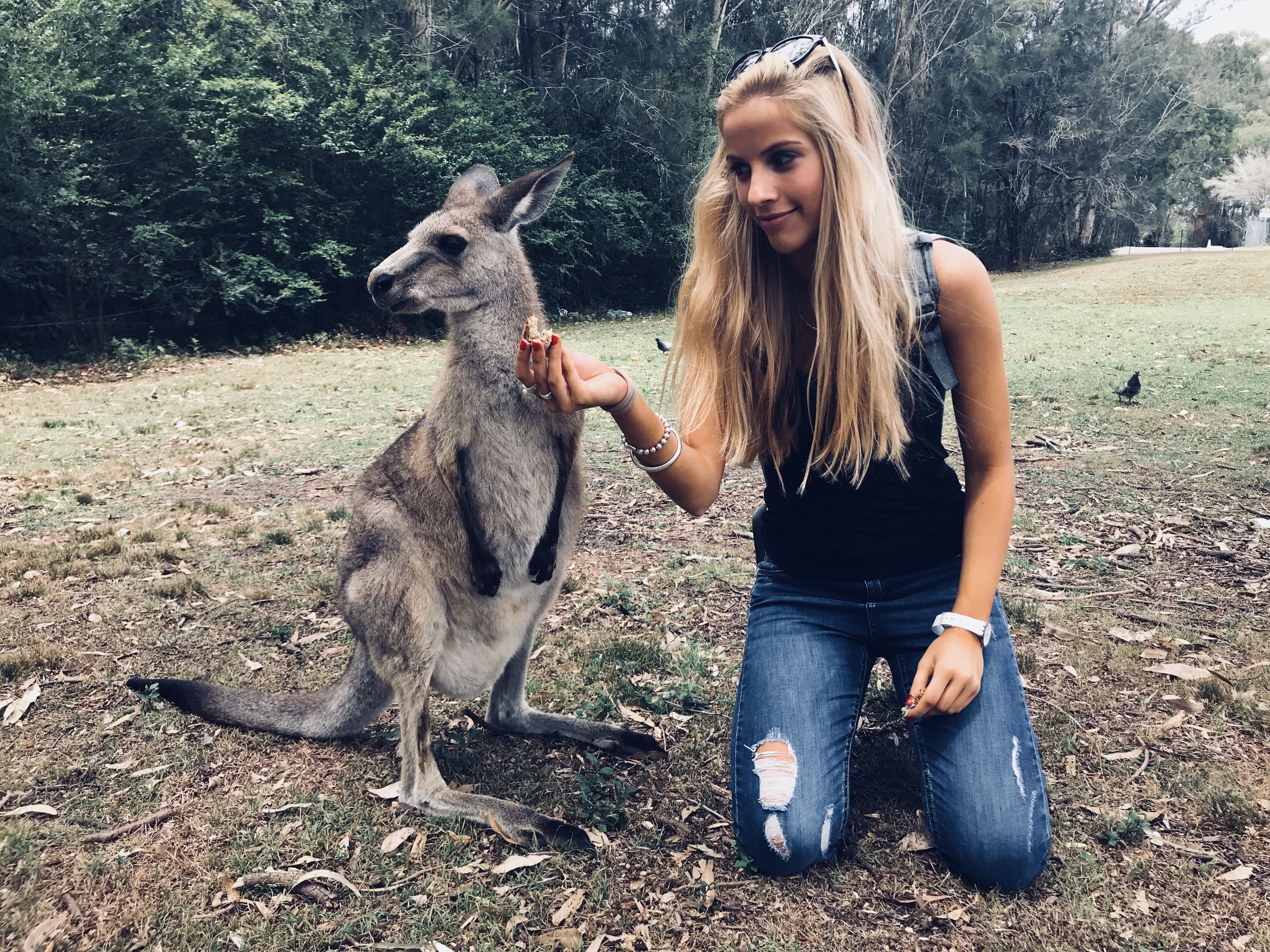Una giovane donna bionda inginocchiata sull’erba accarezza un canguro in un parco naturale. Sullo sfondo ci sono alberi e vegetazione. La scena trasmette un momento di interazione tra persona e animale in natura.